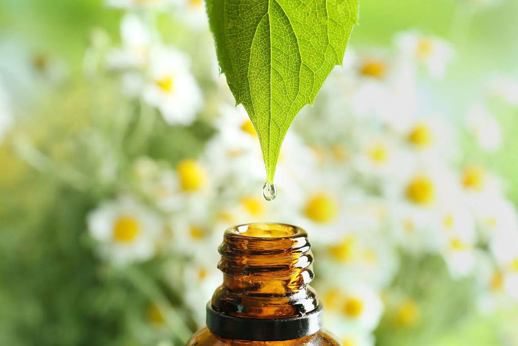 13 Best Natural Eczema Remedies